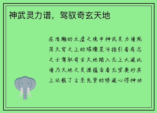 神武灵力谱，驾驭奇玄天地